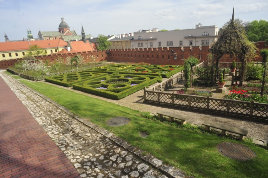 Kraków. Wawel znów zaprasza na swoje sezonowe atrakcje [ZDJĘCIA]