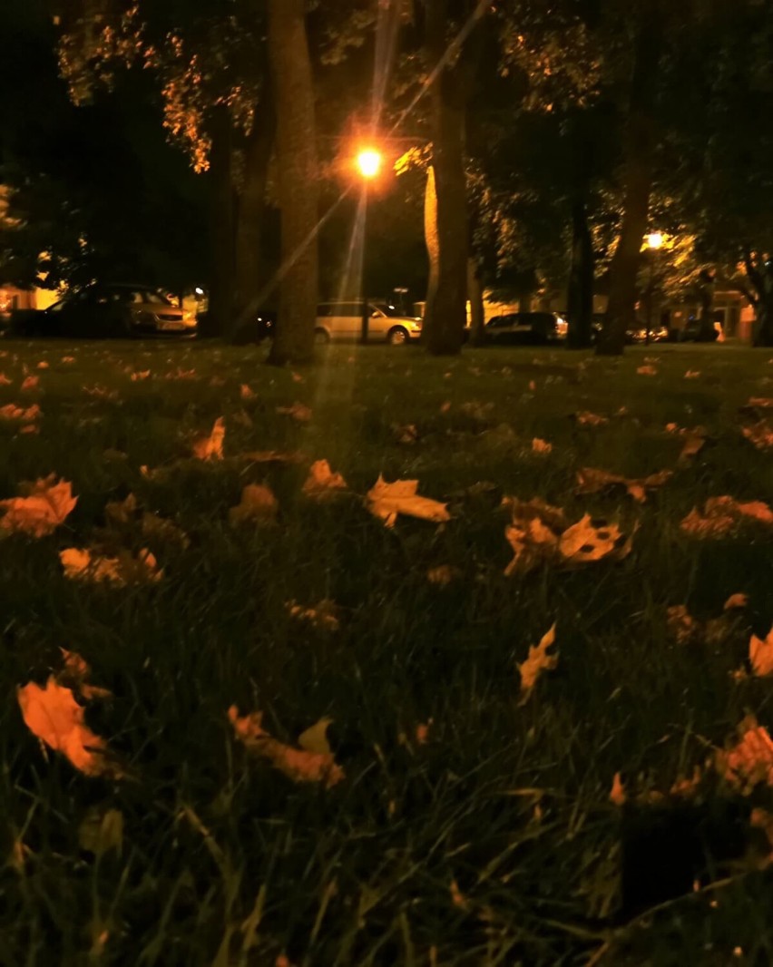 Pomysł na spacer. Park Miejski w Wejherowie w jesiennej odsłonie. Zdjęcia czytelników!