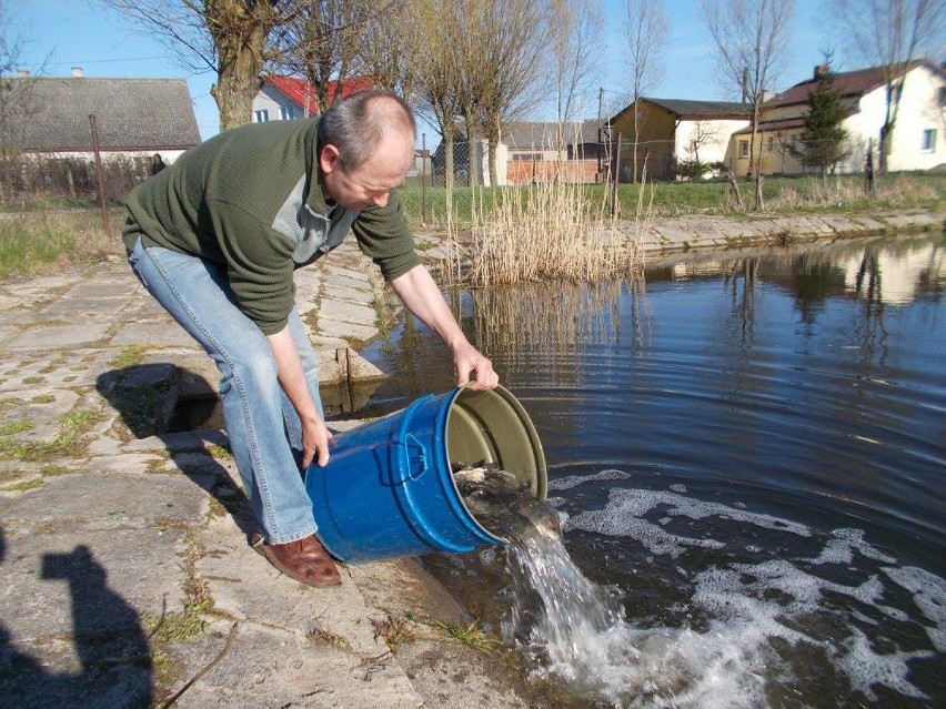 Staw w Połchowie