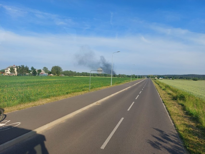 Pożar busa na autostradzie A1 pod Grudziądzem. Pojazd całkowicie spłonął