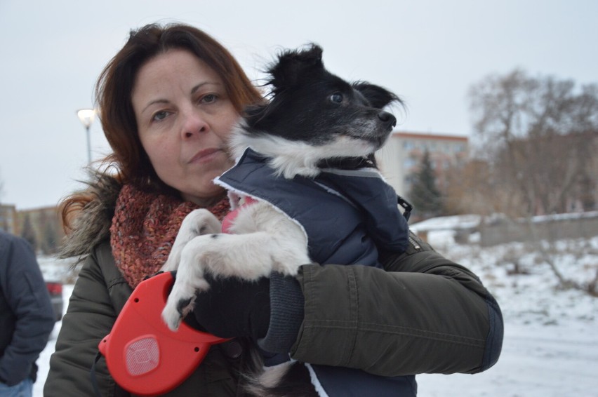 W Szprotawie otwarto plac zabaw dla psów
