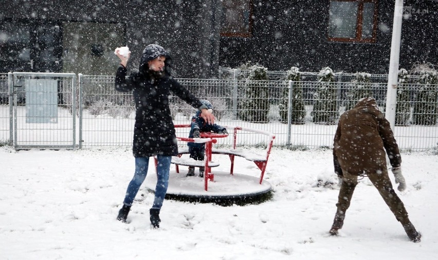 Pogoda w Szczecinie i regionie: Idzie zima. Będzie mroźniej, a grudzień ma być biały 