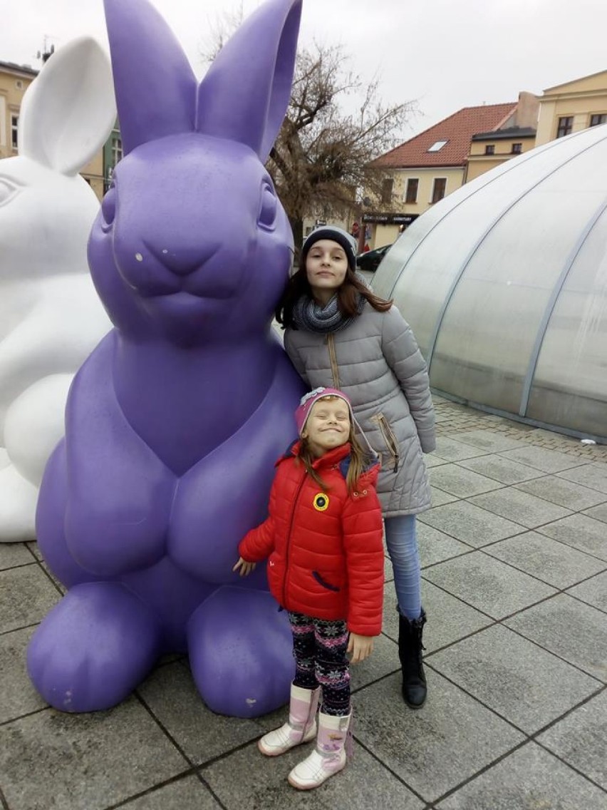 Przed rokiem wągrowczanie polubili zające stojące na Rynku i chętnie robili sobie z nimi zdjęcia 