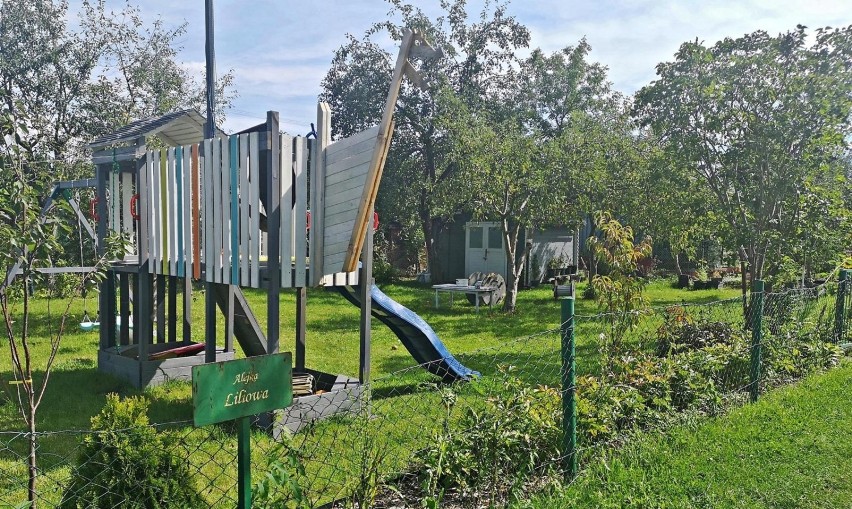Krakowskie ogrody działkowe mogą poprawić swoją...