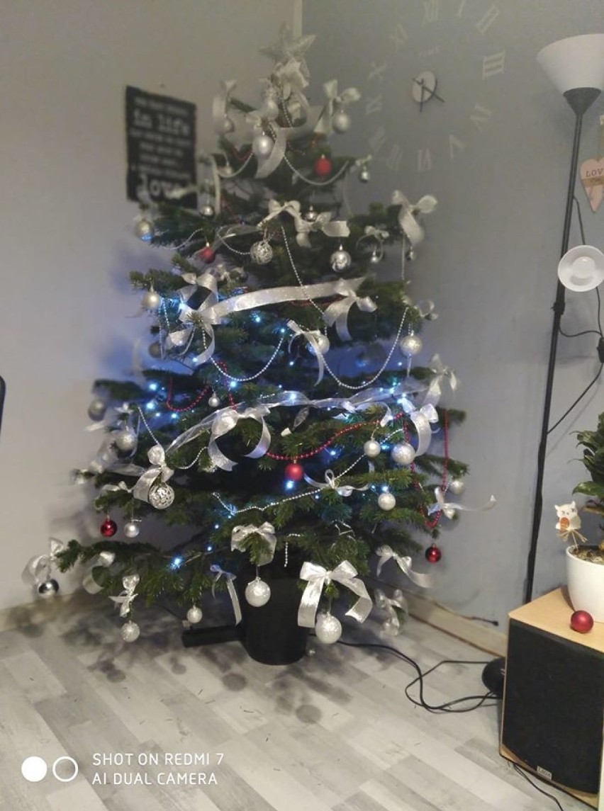 Pochwalcie się swoimi choinkami! Fotogaleria świątecznych drzewek naszych internautów z powiatu wejherowskiego