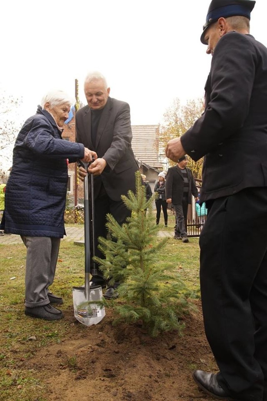 Zasadzili 100 drzew na 100 lat niepodległości Polski.