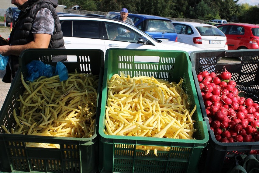 Jesienne warzywa i owoce na targowisku w Wieluniu. Zobaczcie co i  w jakiej cenie można tu kupić