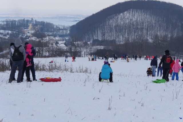 Zobaczcie nasze propozycje szybkich wycieczek z Legnicy idealnych na rodzinny wypad podczas ferii. Warto wybrać się w plener! Polecamy m.in. zamki, wieże widokowe czy ogród zoologiczny. W każde miejsce dojedziecie w około 30 minut. Szczegóły pod kolejnymi zdjęciami --->>>