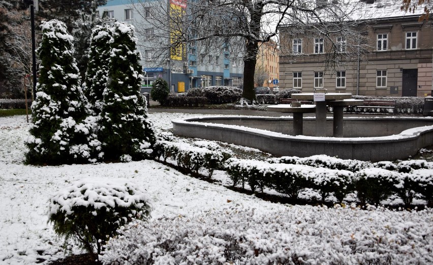 Zima w centrum Jarosławia. Zobaczcie jak wygląda dzisiaj Park Miejski im. Baśki Puzon [ZDJĘCIA]