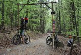 Złote Ścieżki w Głuchołazach. Raj dla amatorów górskich zjazdów na rowerze