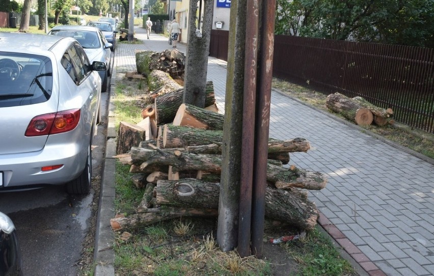 Pozostałości ściętych drzew zalegają przy ul. Jasnej. Pnie...