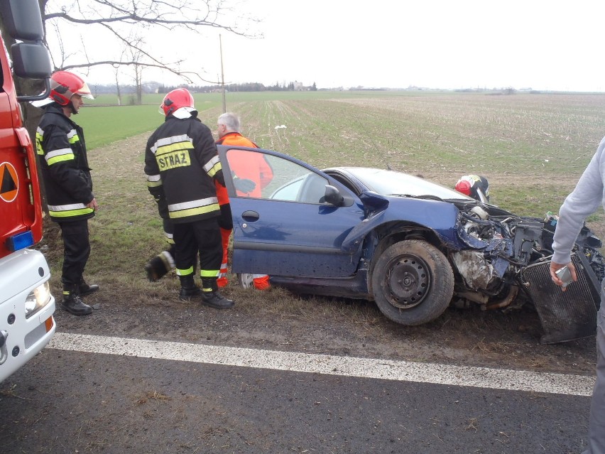 Sokołówko: Czołówka z drzewem. Dwie osoby w szpitalu