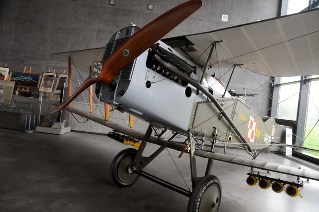 Unikalność eksponatu  polega nie tylko, że samolot jest w polskim malowaniu, z biało-czerwonymi szachownicami, z polskimi napisami ale także tego samoloty, które  zakupiono w lotniczej wytwórni f-my Bristol w ilości ponad 100 sztuk, brały udział w wojnie polsko – bolszewickiej w 1920 r.
