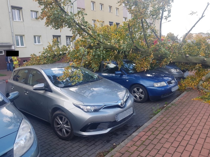 Wichura w powiecie szamotulskim. Strażacy mieli pełne ręce pracy. Blisko 80 akcji [FOTO]