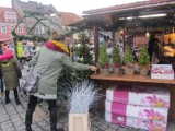 Na gnieźnieńskim Rynku trwa Jarmark Bożonarodzeniowy [FOTO] 