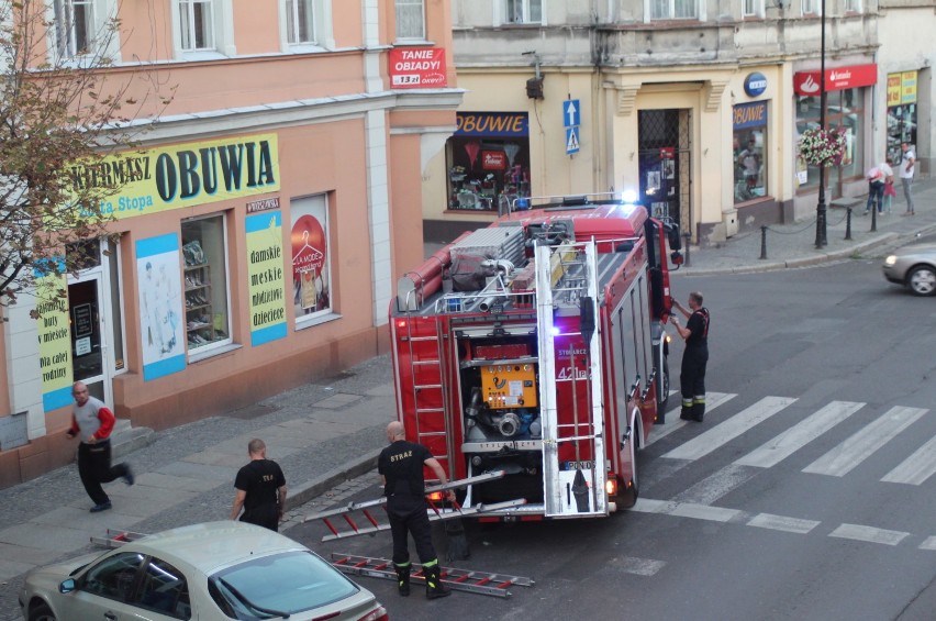 Osy zbudowały swoje gniazdo w centrum miasta