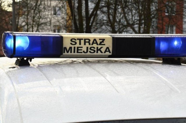 Znieważenie strażników miejskich we Włocławku