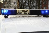 Włocławek. Strażnicy miejscy zostali opluci i znieważeni słownie przez 31-latka podczas interwencji na Placu Staszica we Włocławku