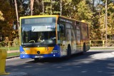 Starachowice. Od 1 grudnia zmiany w komunikacji miejskiej. Inaczej pojedziemy autobusem numer 16