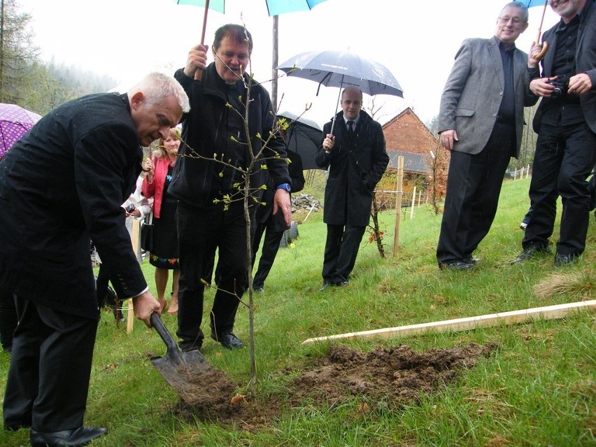 Prof. Jerzy Buzek zasadził drzewo w Ogrodzie Reformacji