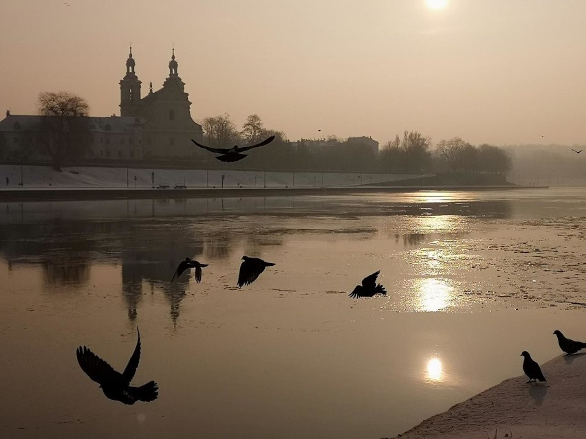 Kraków. Wisła coraz bardziej pokrywa się lodem [ZDJĘCIA]