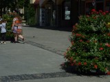 Na Staromiejskiej w Lęborku ustawiono kwiaty