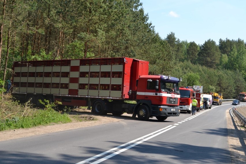 Wypadek ciężarówki wiozącej świnie koło Przechlewa