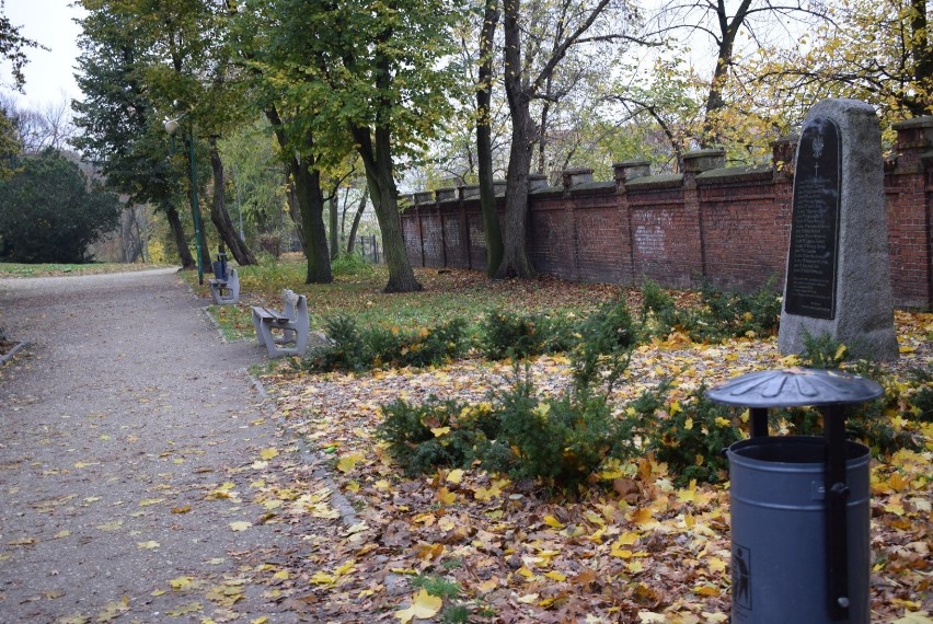 Złota polska jesień w Gnieźnie. W parkach pustki [FOTO]