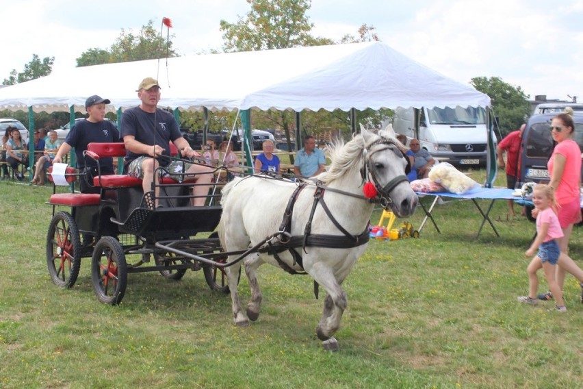 Święto Konia - Stefanowo 27 lipca 2019