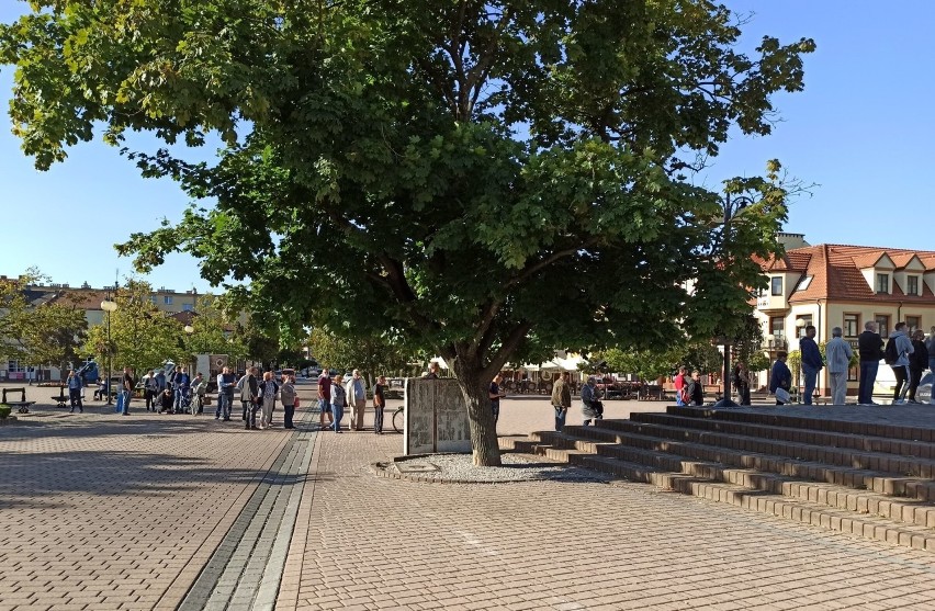 Tarnobrzeg. Sadzonki drzew były rozchwytywane. Mieszkańcy ustawili się w bardzo długiej kolejce [ZDJĘCIA]