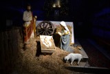 Szopka bożonarodzeniowa jest już gotowa. Znajduje się w kościele p.w. Miłosierdzia Bożego