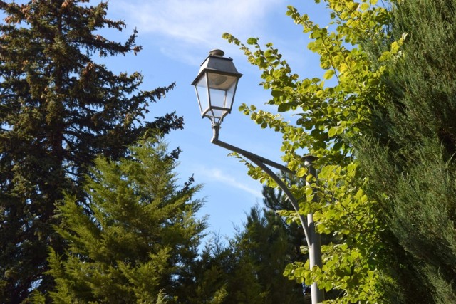 Na ulicy Osobnej w Kielcach wymieniono stare lampy na inne stare. 

Zobacz więcej zdjęć>>>>