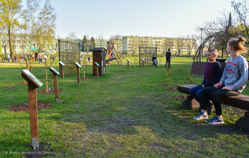 Wśród krzewów dominują porzeczki czarne i czerwone, maliny,...