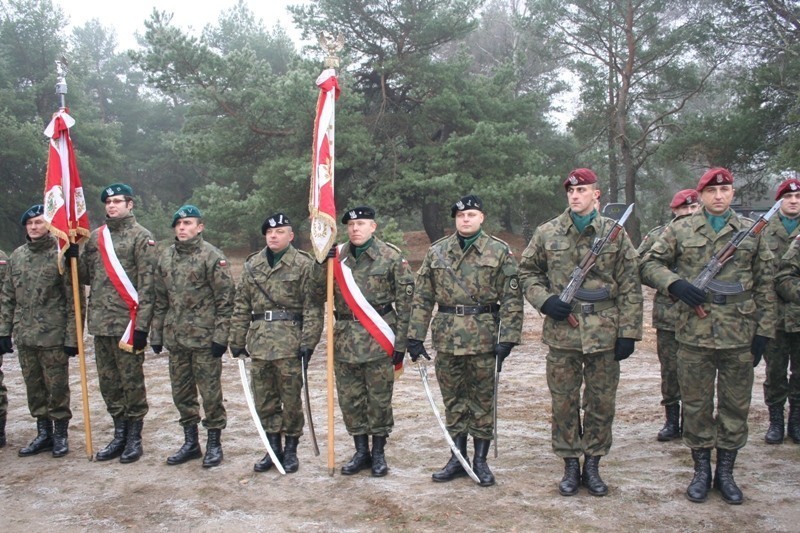 To ostatnie zagadnienie prezentował dowódca 5Lpa pułkownik...