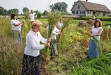 Muzeum Mazowieckie w Płocku zaprasza na wrześniowe spotkania. Pleciemy natura-lnie, urodziny art deco, premiera filmu i koncert jezzowy