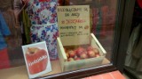 Akcja "Jemy jabłka" w Wejherowie