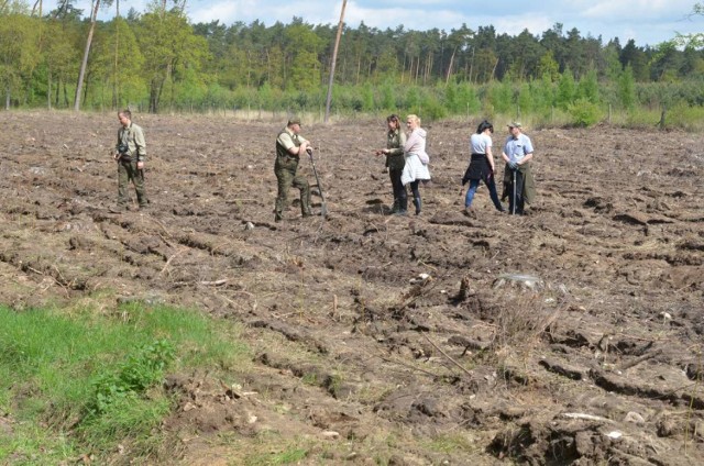Uczniowie z Witkowa zasadzili około 1000 drzew na terenie Leśnictwa Stary Dwór