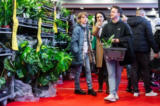 Na Polsat Plus Arenie w Gdańsku trwa Festiwal Roślin - wielki market roślin w supercenach