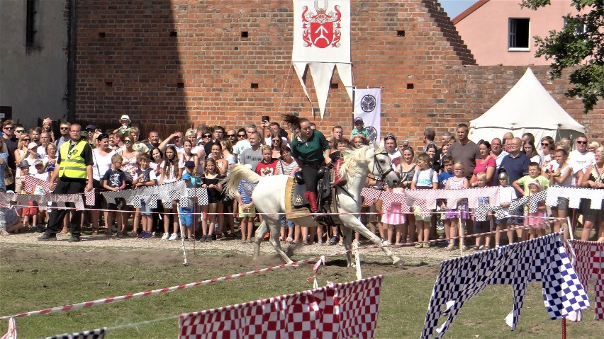 Konny pokaz kaskaderski na dziedzińcu zamku w Łęczycy
