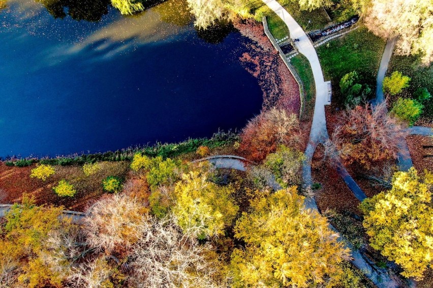 Park Oruński z lotu ptaka - zdjęcia z drona
