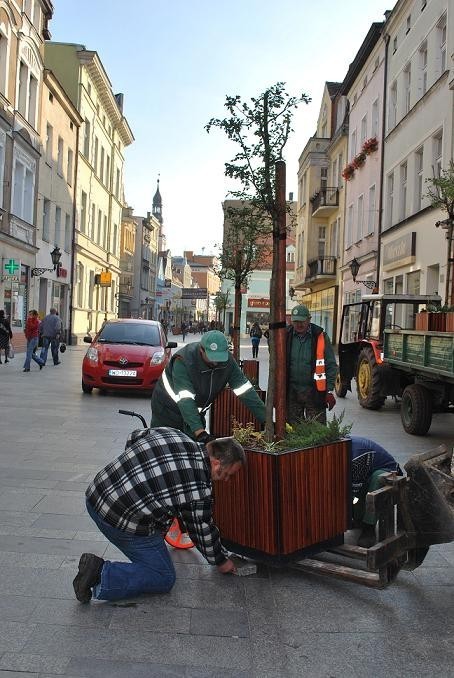 Ekipy ustawiły już nowe ławki, kosze i donice z drzewkami