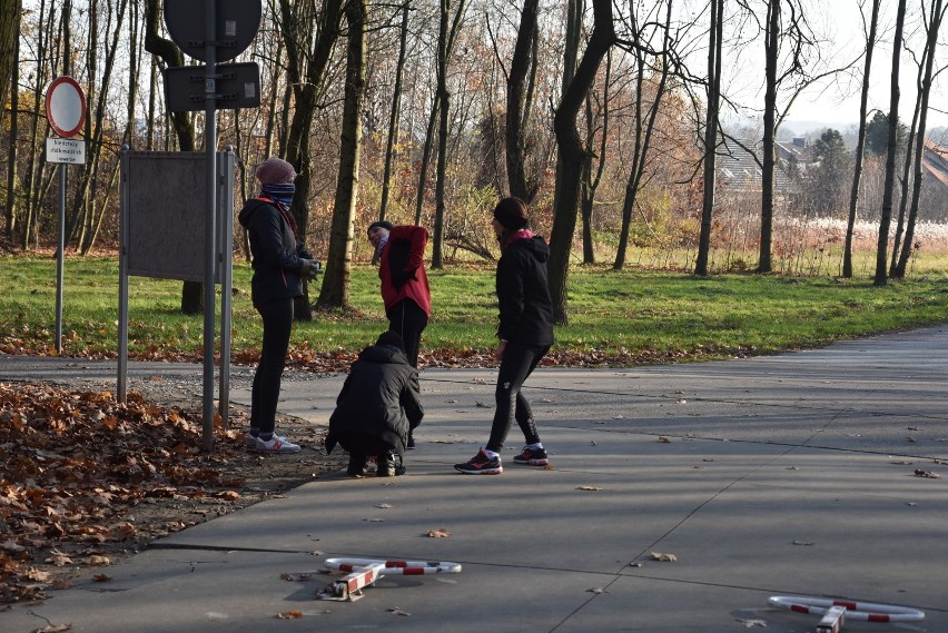 Tarnów. Przepiękna jesień w Parku na Piaskówce i w Parku Strzeleckim zachwyca barwami [ZDJĘCIA]