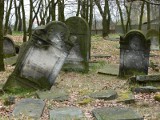Żydowskie cmentarze okiem fotografów