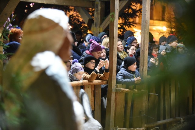 Aż do 5 stycznia, codziennie o godzinie 17 przy szopce bożonarodzeniowej na Rynku Nowomiejskim w Toruniu można posłuchać kolęd i pastorałek. Nie inaczej było dziś, w drugi dzień świąt.