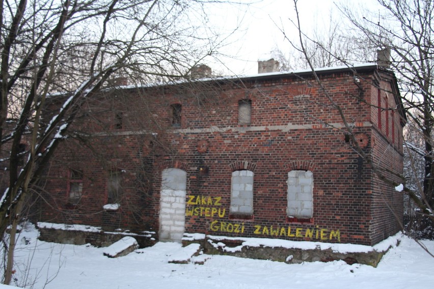 Kolonia Zgorzelec (5.02.2019)
