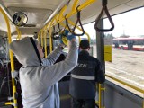 Leszno. Trwa walka z koronawirusem. Dezynfekcja w autobusach miejskich oraz zmiany rozkładu jazdy