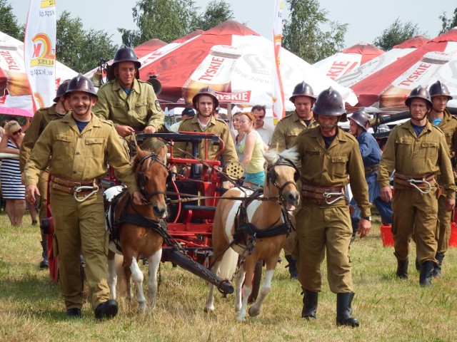 Zawody sikawek konnych 2015