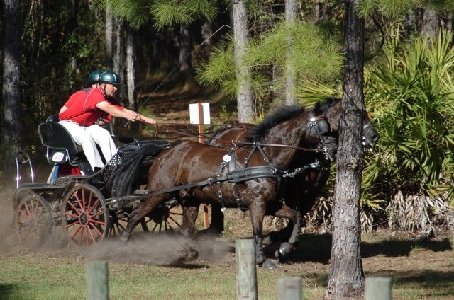 Mazurek Horse Team na Florydzie