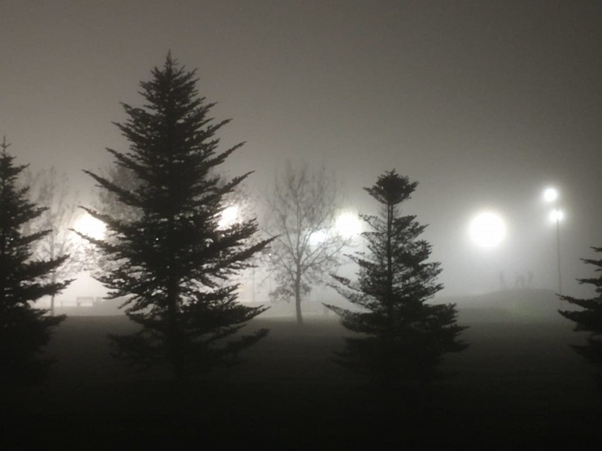 Magiczna mgła w Legnicy. Utrzymuje się już trzeci dzień. Zobacz, jak pięknie wygląda na zdjęciach naszych Czytelników! [WASZE ZDJĘCIA]