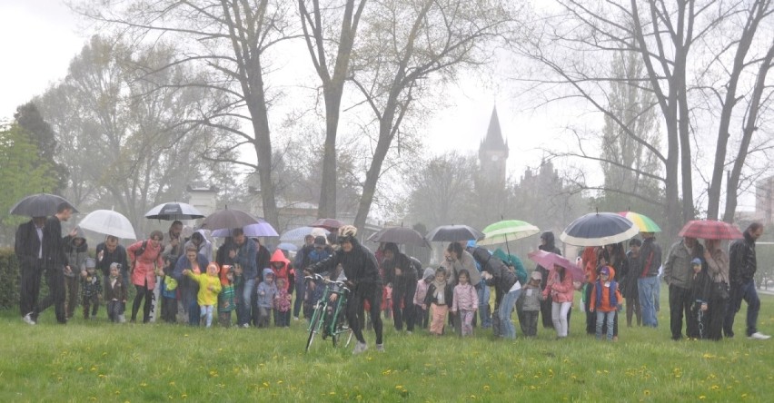 Masowe biegi w Końskich rozpoczęły się od ulewy. Potem było już lepiej. Biegało 560 osób